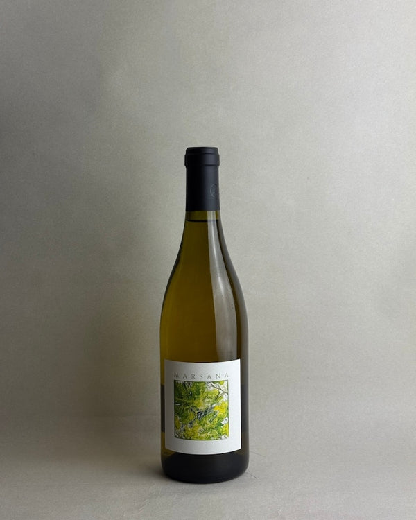 Domaine Les 4 Vents - Marsana 2024