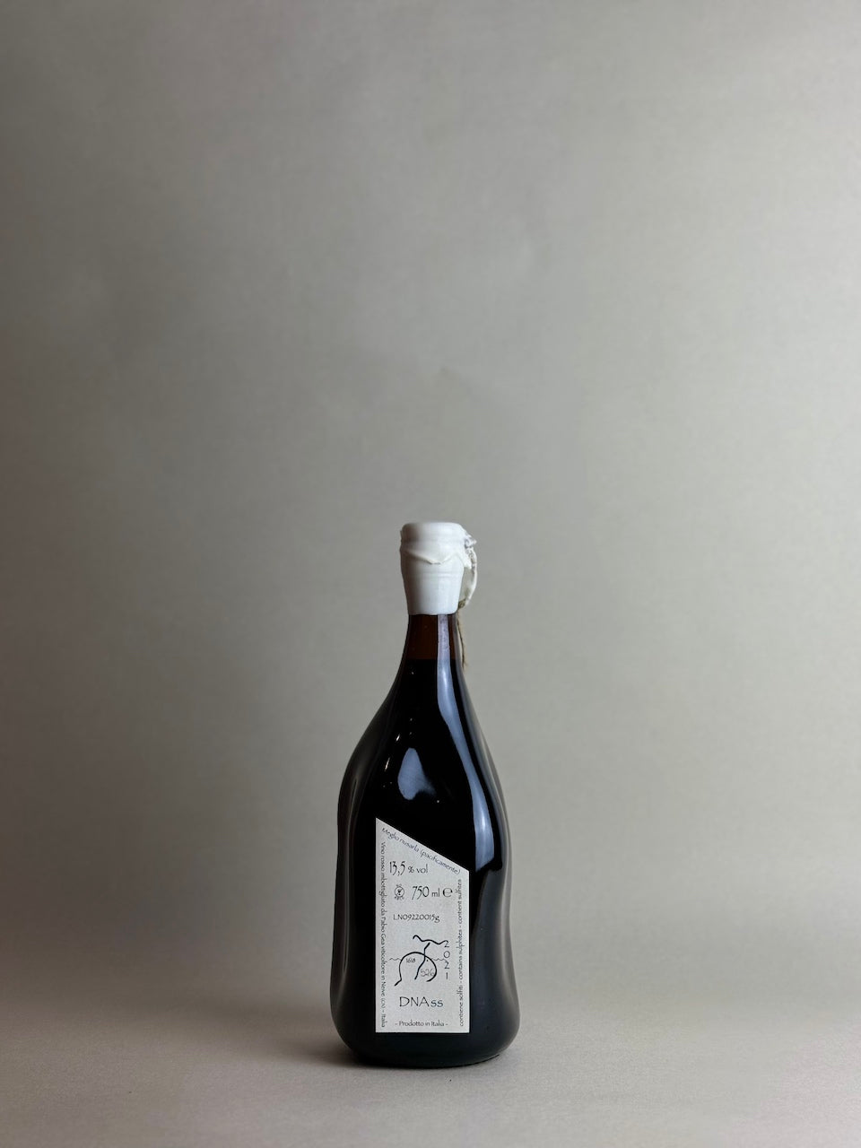 Fabio Gea - DNAss 2022