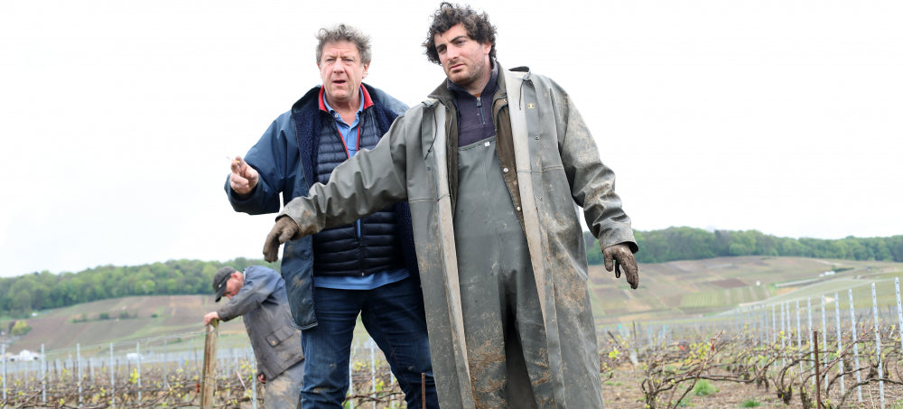 Domain Jacques Selosse