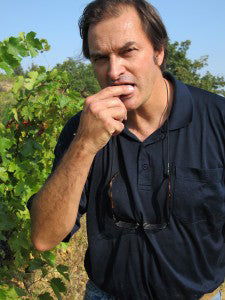 Domaine Duseigneur