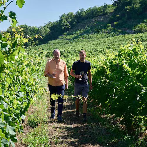 Domaine Jolivet