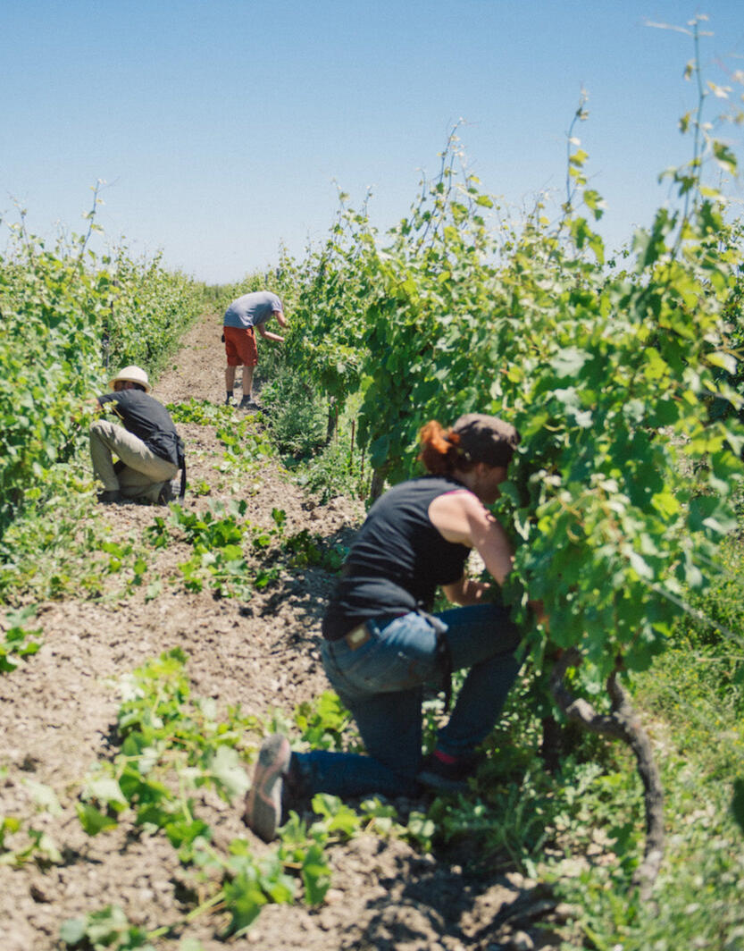 Domaine de L´enchantoir