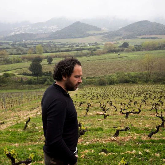 Nicolas Mariotti Bindi