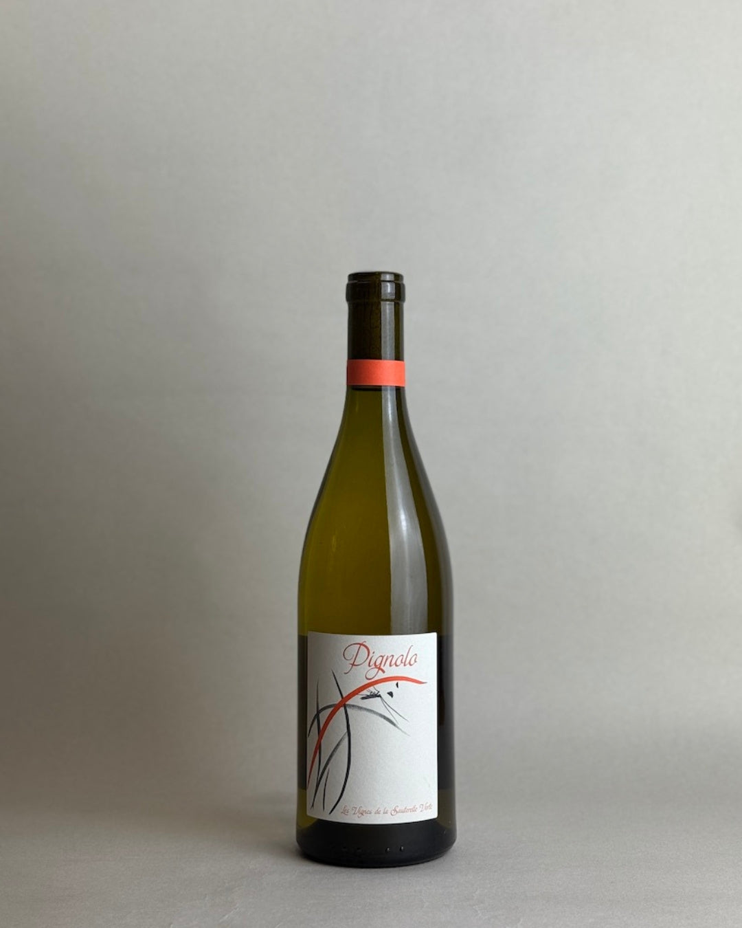 Adrien Berlioz - Pignolo 2024