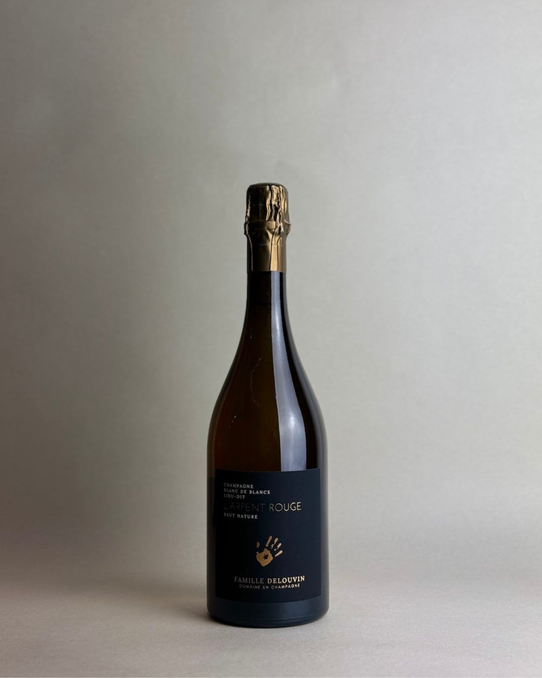 Famille Delouvin - L'Arpent Rouge 2018