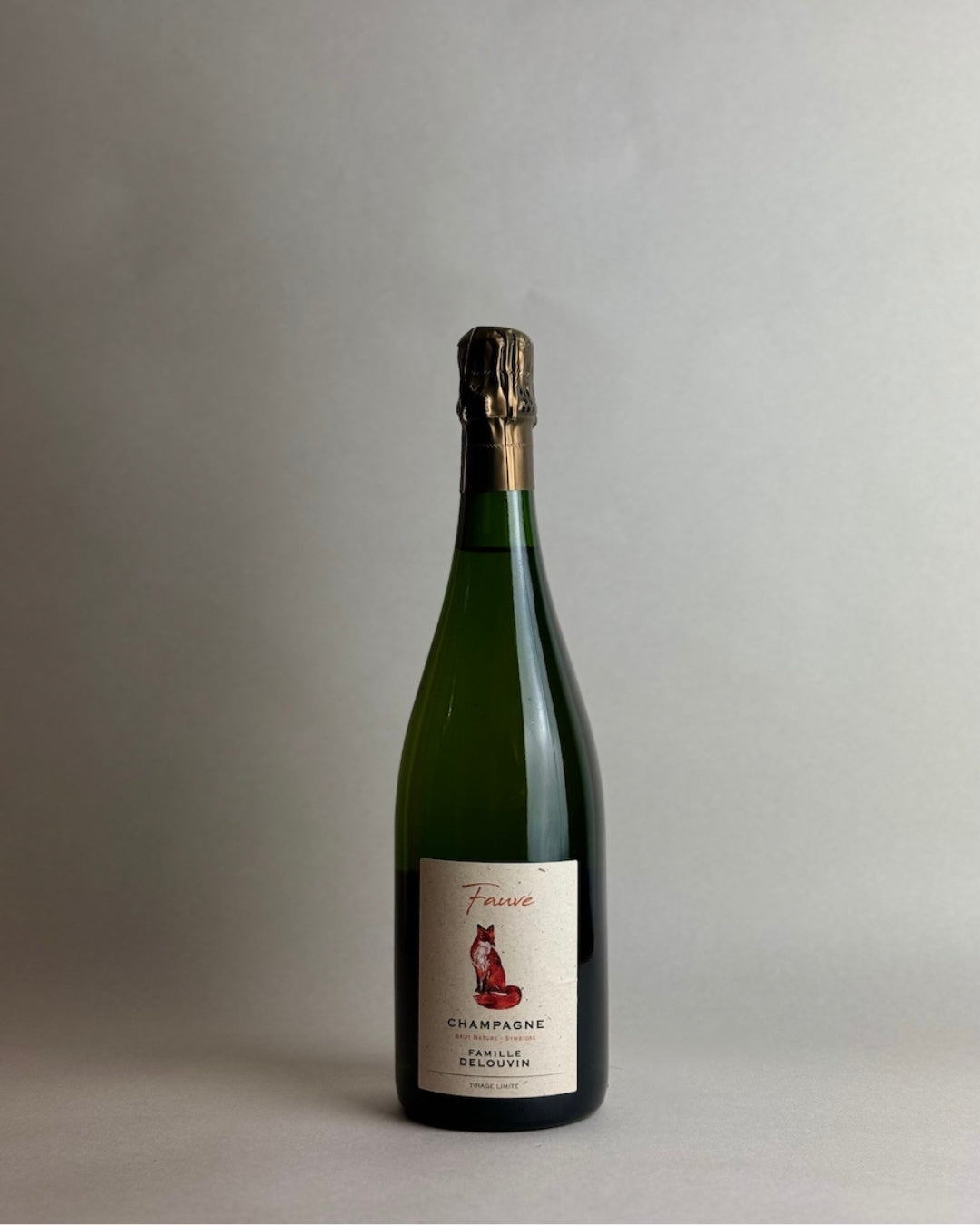 Famille Delouvin - Fauve 2018