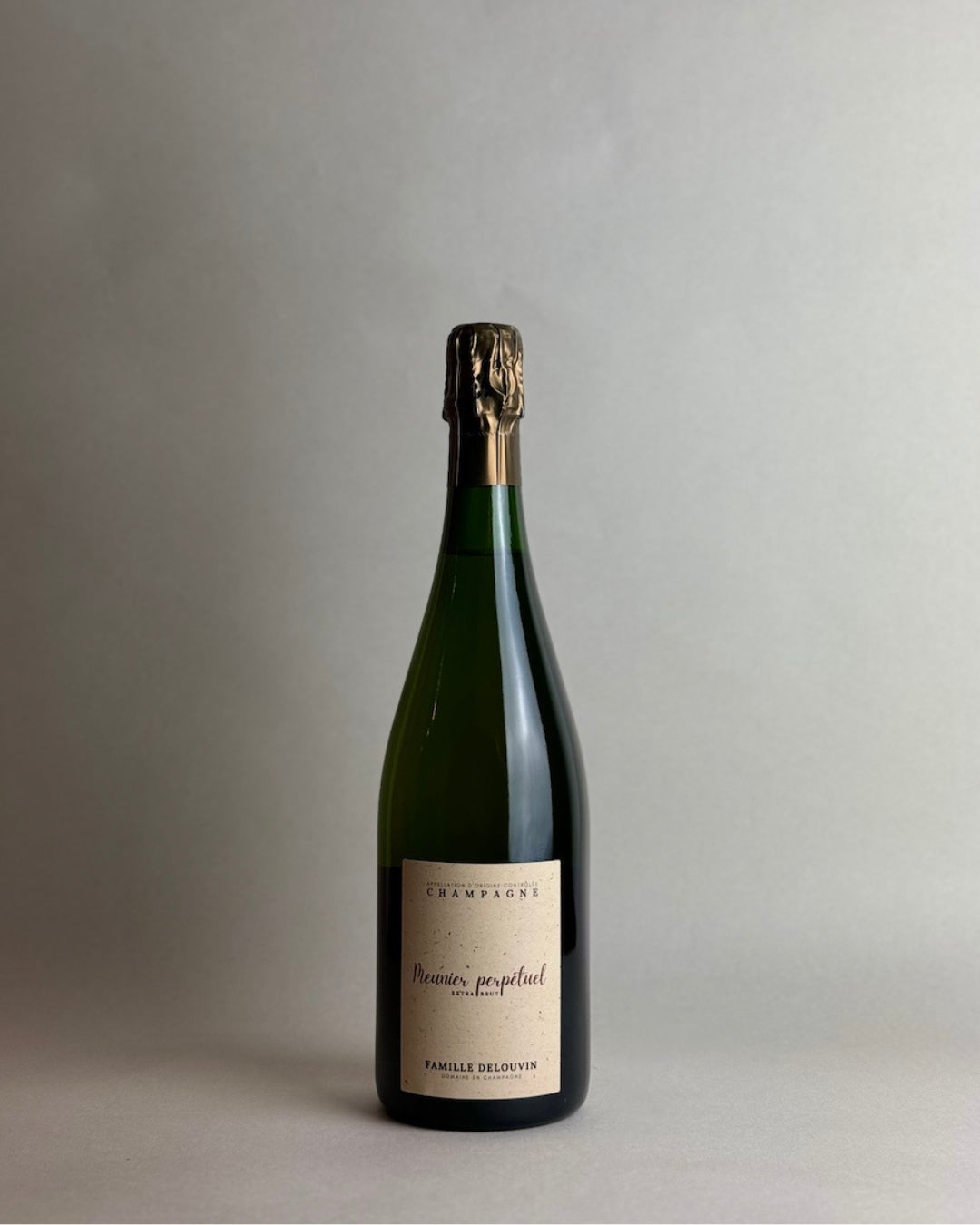 Famille Delouvin - Meunier Perpetuel