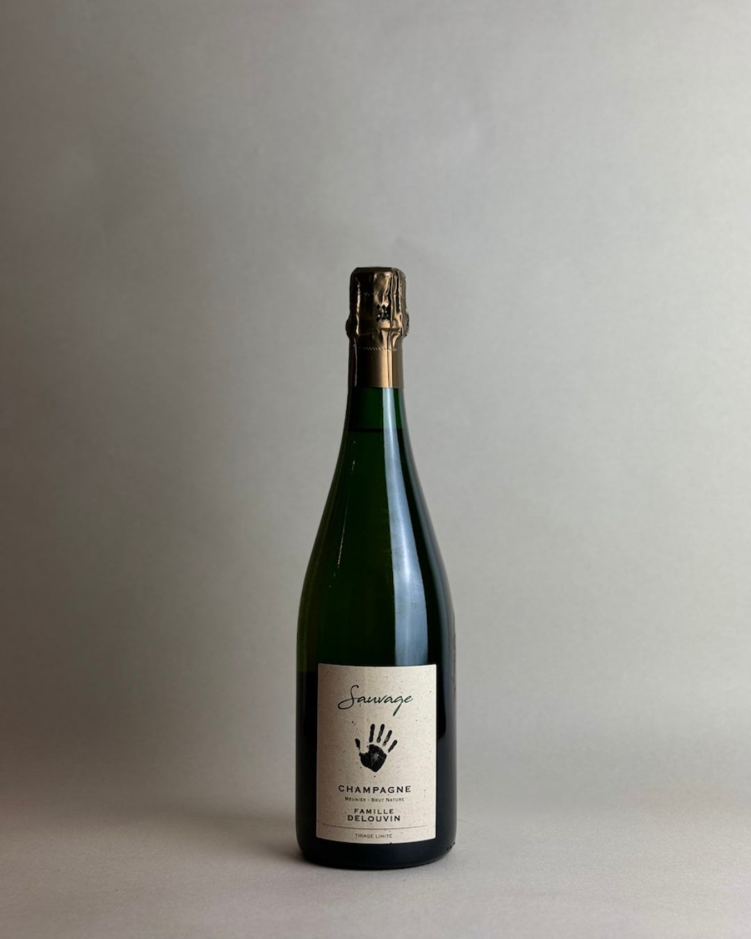 Famille Delouvin - Sauvage