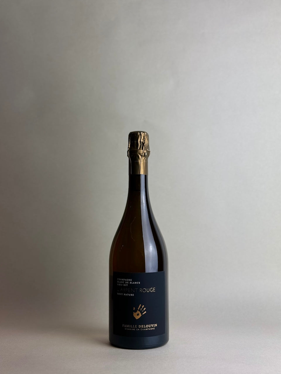 Famille Delouvin - L'Arpent Rouge 2018