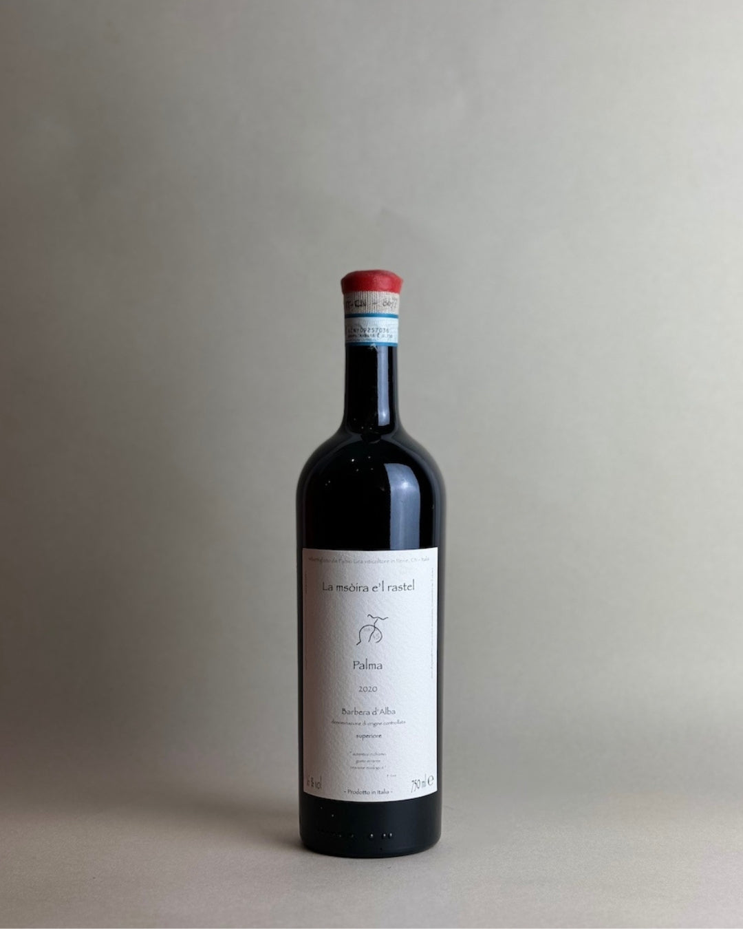 Fabio Gea - Palma 2021