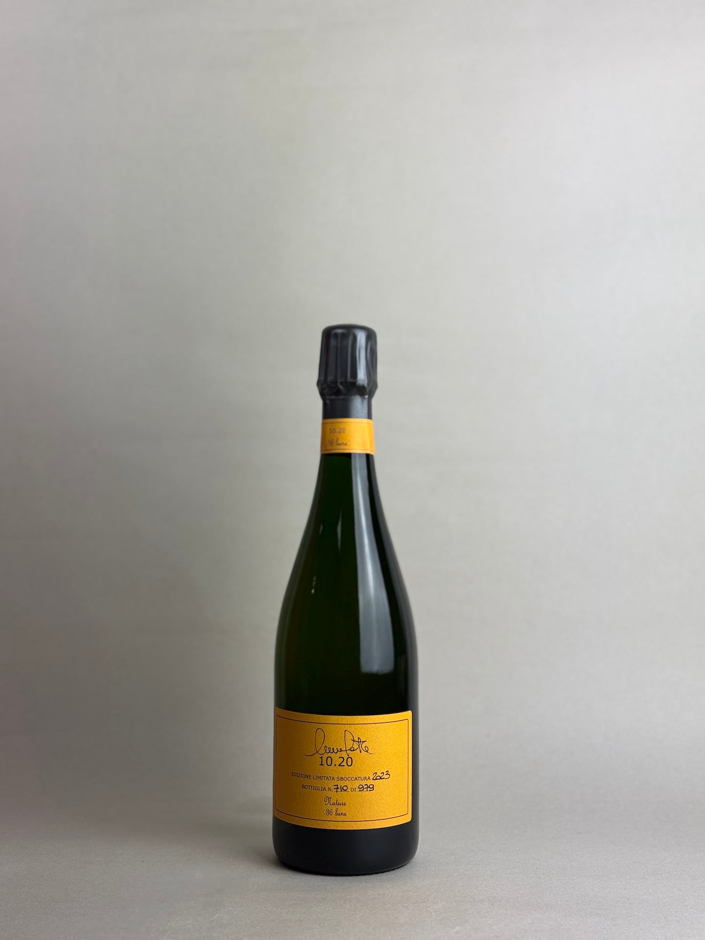 Nicola Gatta - 11.21