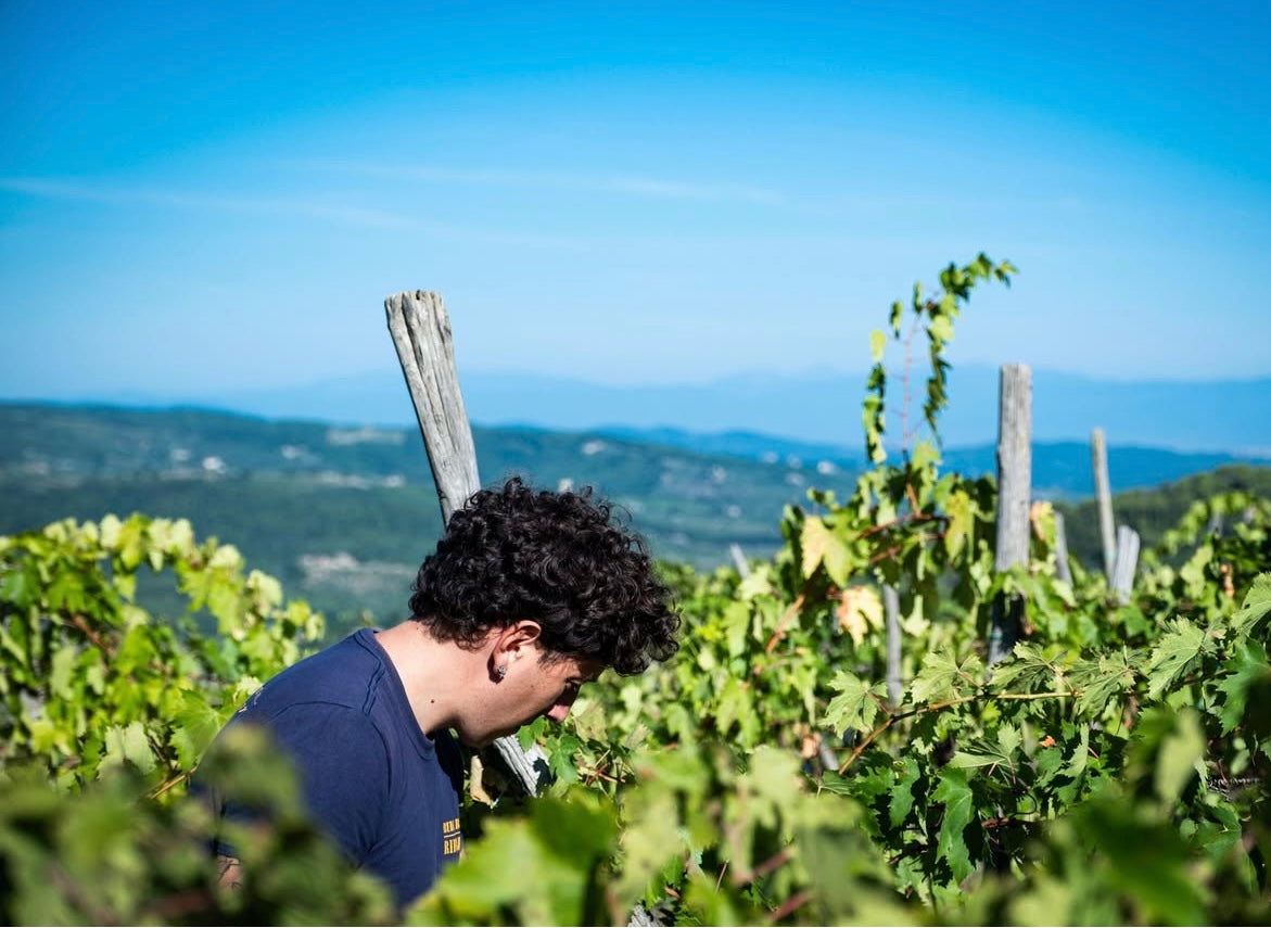 Davide Bottai, Il Castellaccio